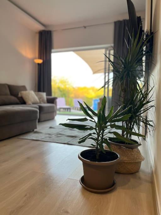 Quinta Da Alfarrobeira Peaceful Countryside Stay Faro Luaran gambar