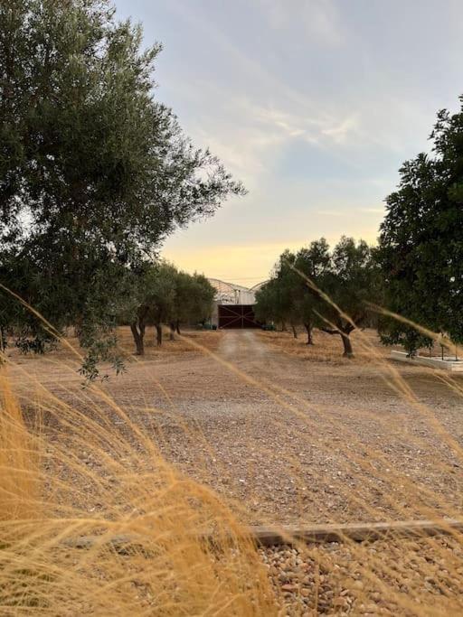 Quinta Da Alfarrobeira Peaceful Countryside Stay Faro Luaran gambar