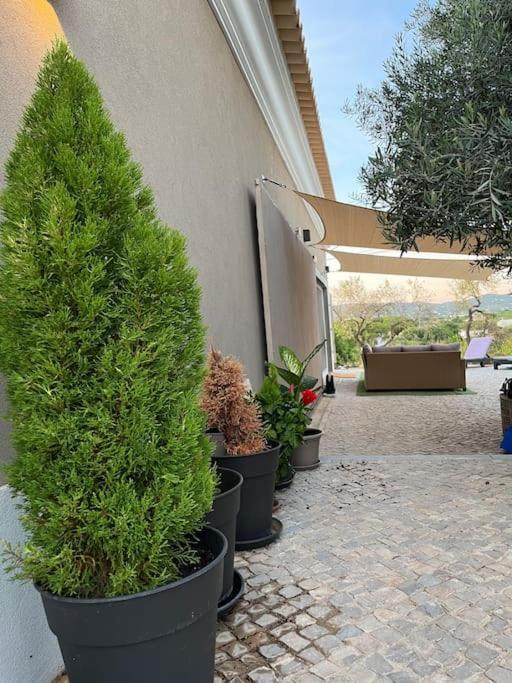 Quinta Da Alfarrobeira Peaceful Countryside Stay Faro Luaran gambar
