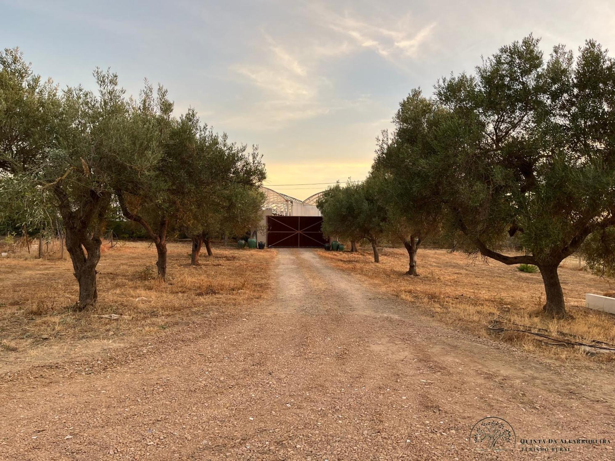 Quinta Da Alfarrobeira Peaceful Countryside Stay Faro Luaran gambar